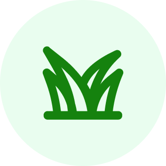 green space