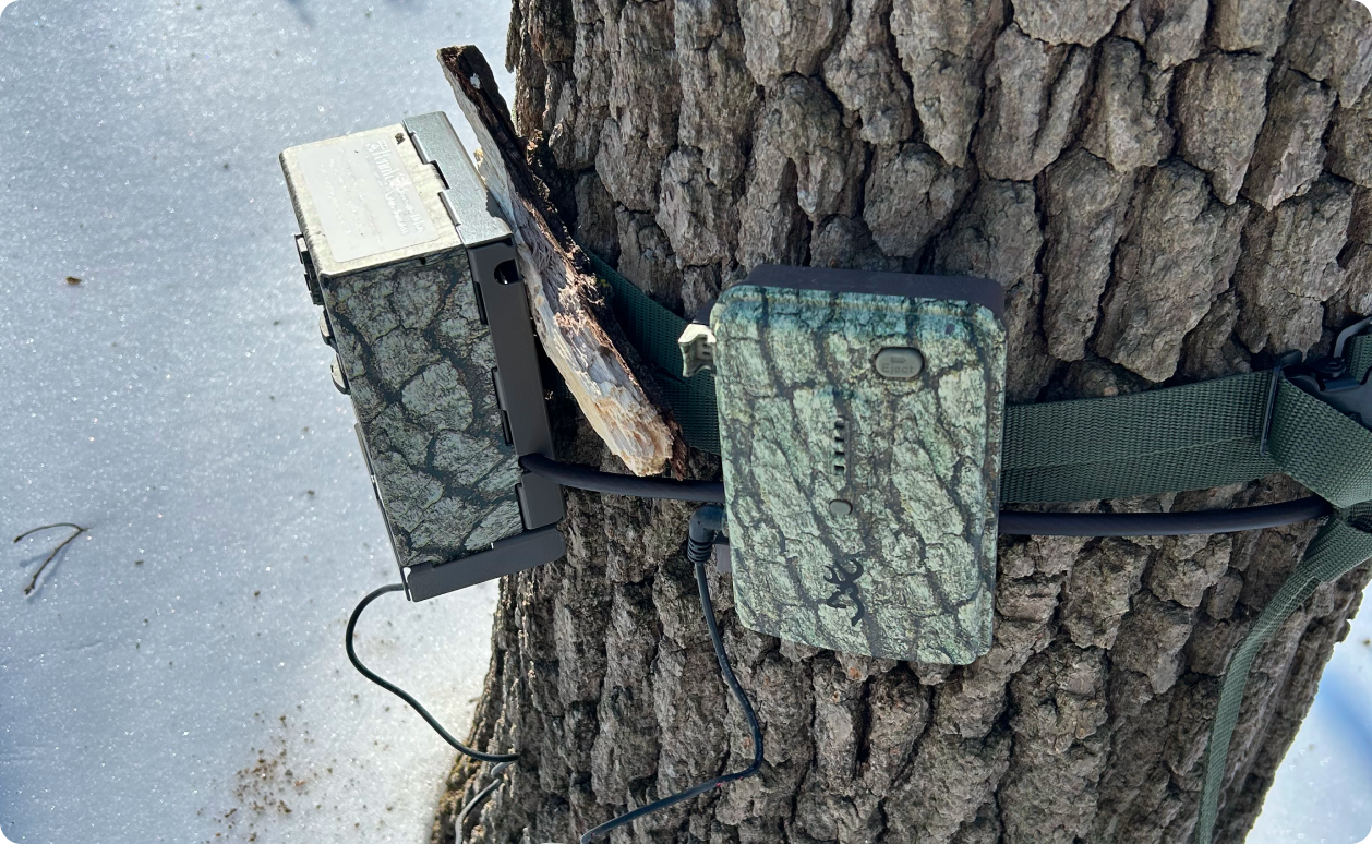 wildlife camera