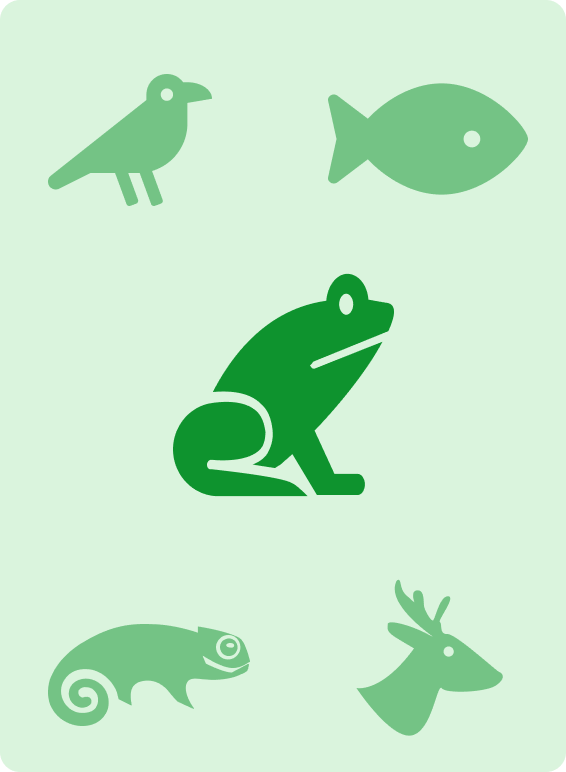 Habitat fragmentation