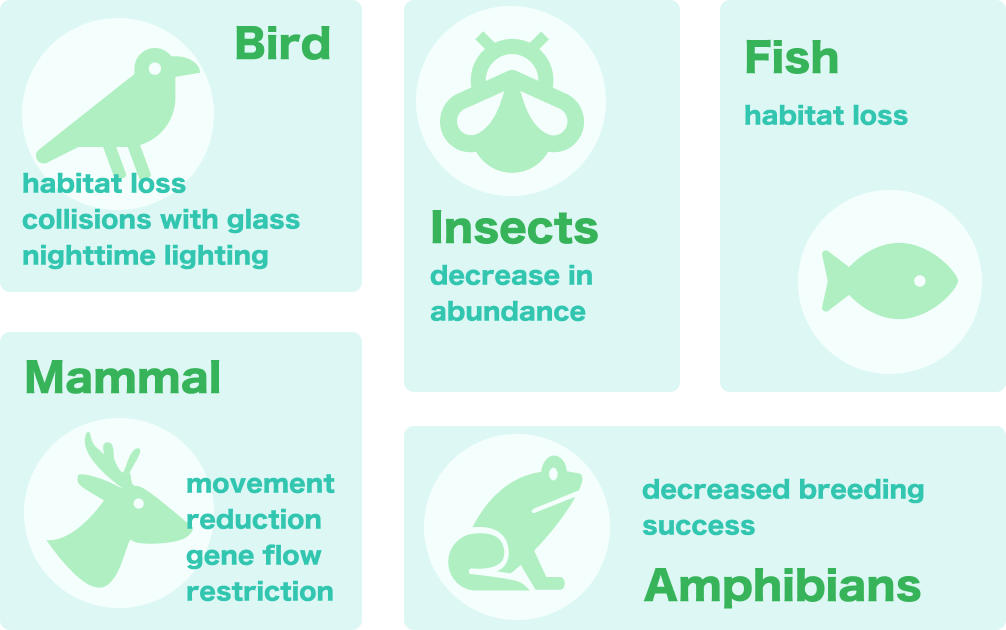 species variation